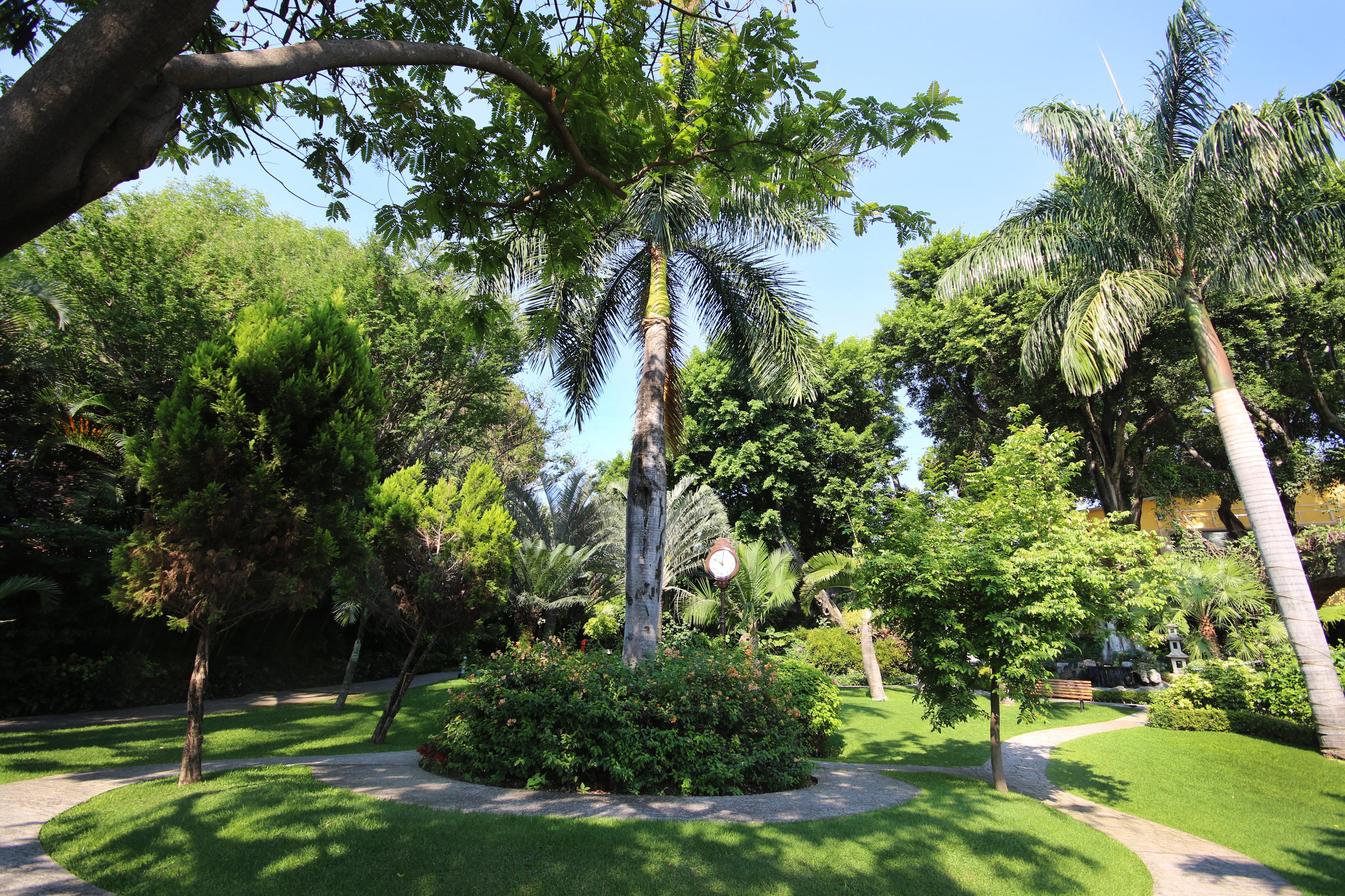 Holiday Inn Cuernavaca By Ihg Exterior foto